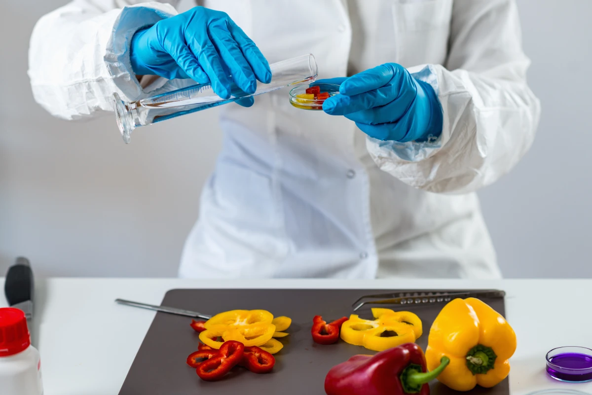 Droit alimentaire : sécurité, santé publique et régulations